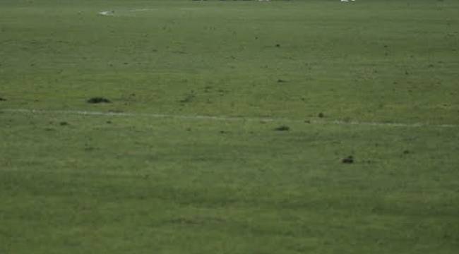 Yeni Malatyaspor’un Patates Tarlası da Var