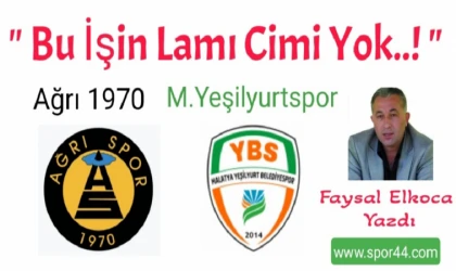 "Bu İşin Lamı Cimi Yok!"